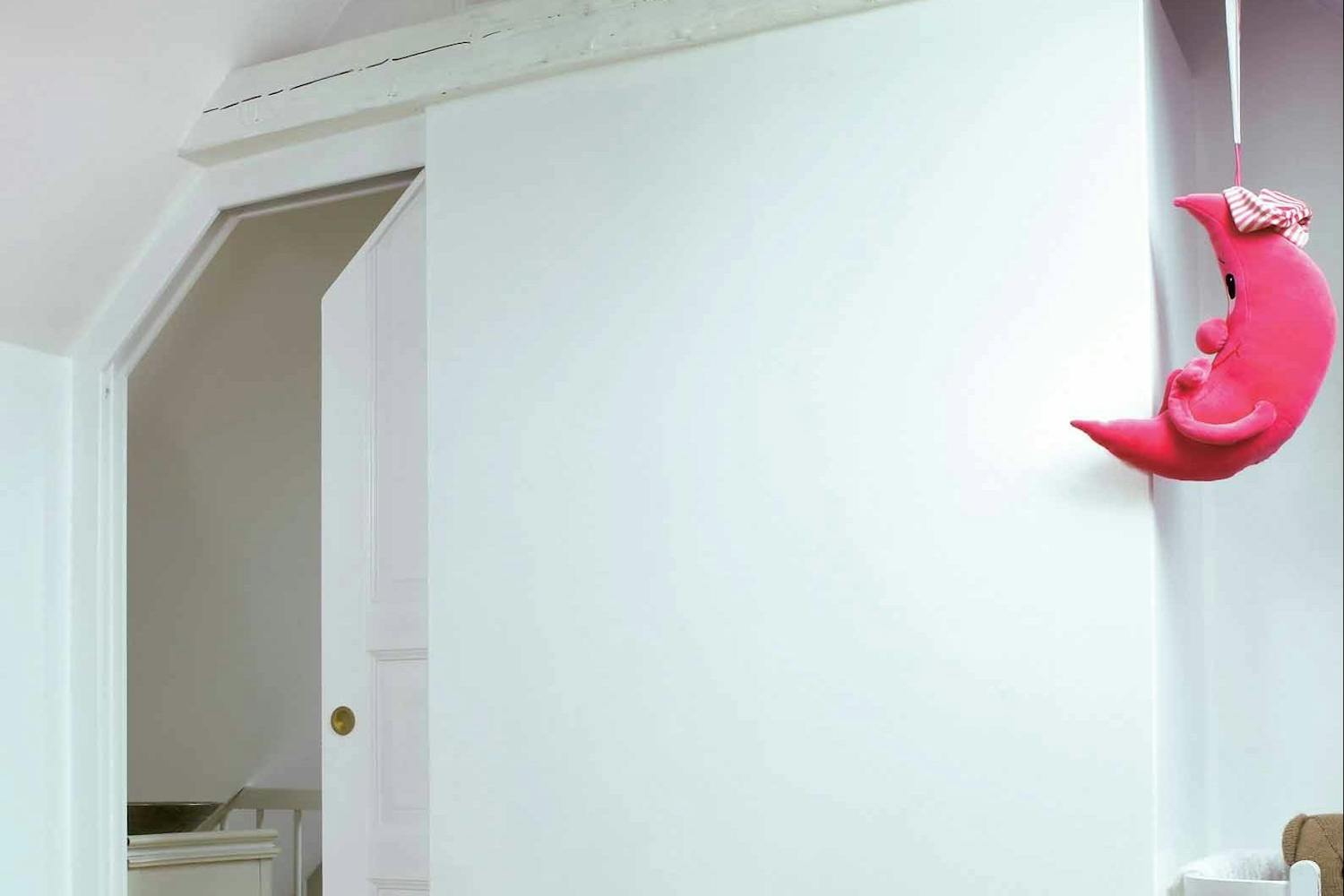 Dold skjutdörr under snedtaket